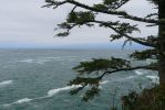 PICTURES/Cape Flattery Trail/t_Scenic2.JPG